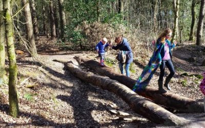 Belevingspaden en Speelbossen